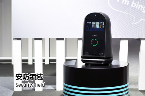 Security field
